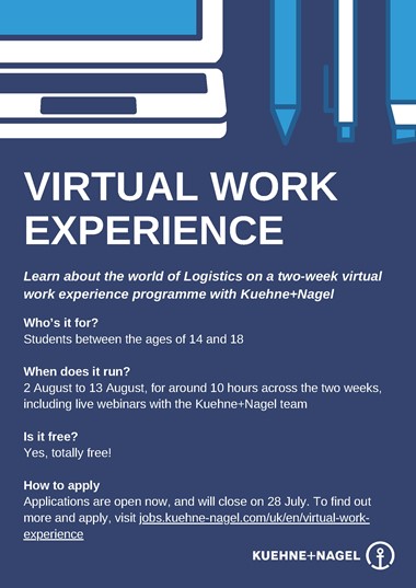 Virtual work experience programme