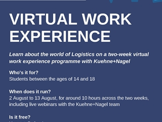 Virtual work experience programme